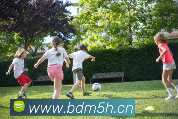 世界杯中国官网平台生态图